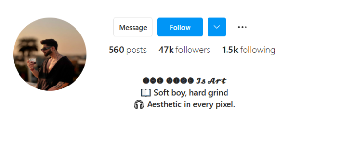 Instagram Bio for Boys Stylish