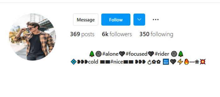 Stylish VIP Bio